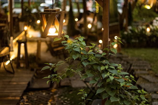 Iluminacion,Jardin